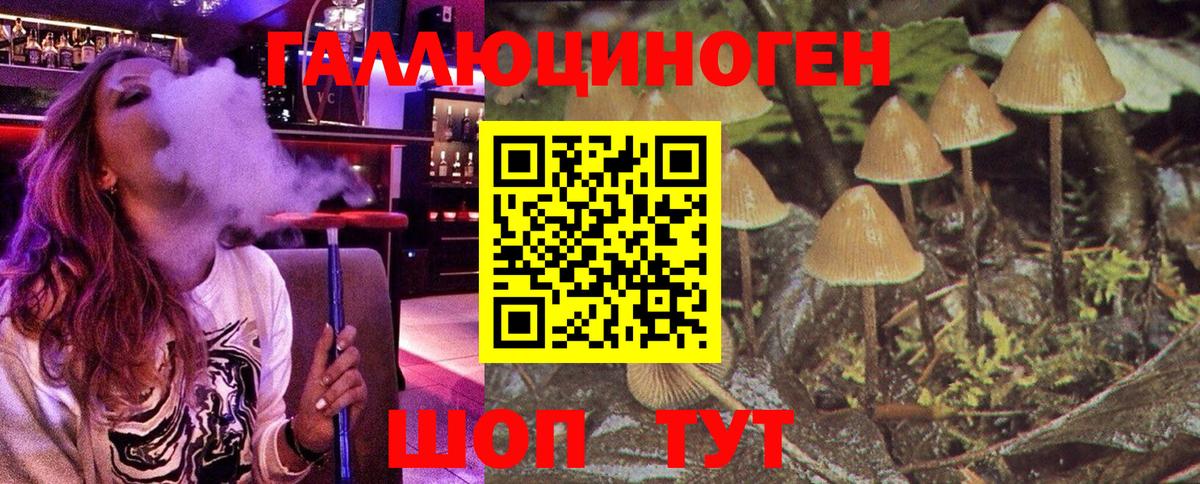 Владивосток  Псилоцибиновые грибы Psilocybe  Вход с VPN 