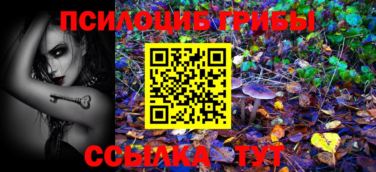 Галлюциногенные грибы ЛСД Владивосток